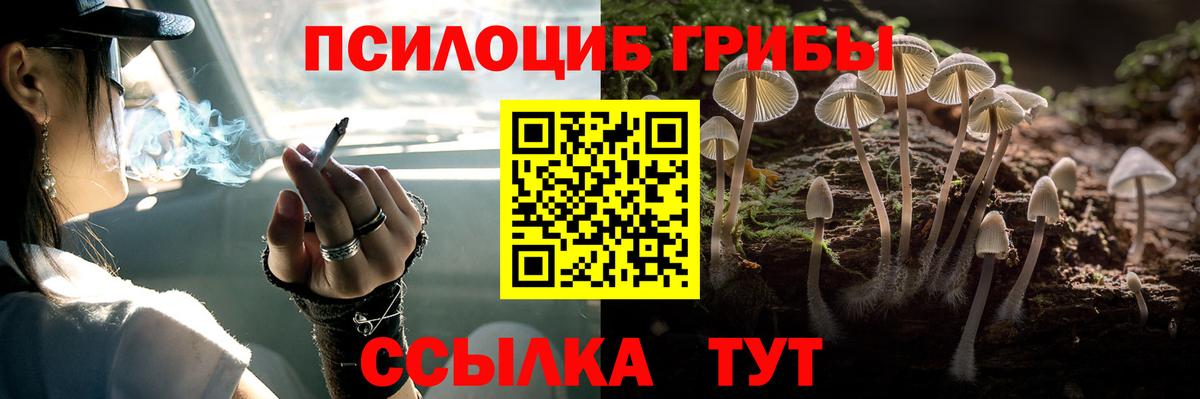 Псилоцибиновые грибы Magic Shrooms  Вход с VPN  Шарыпово 